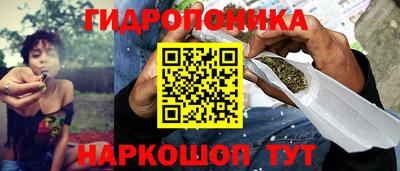 крисы Севастополь