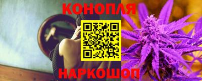 крисы Севастополь