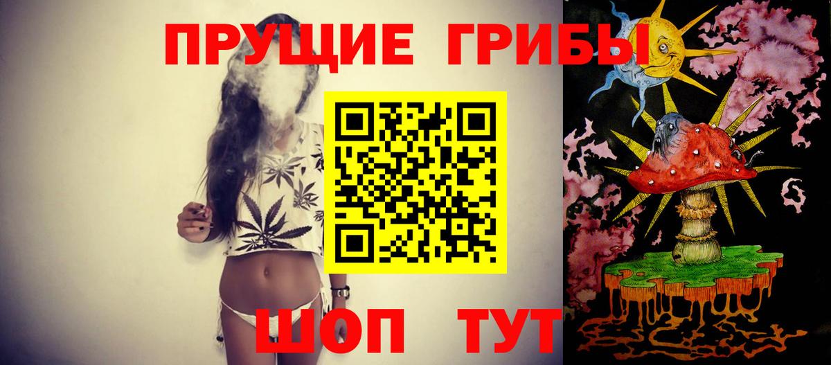 Псилоцибиновые грибы Cubensis  Вход с VPN  Новоалександровск 