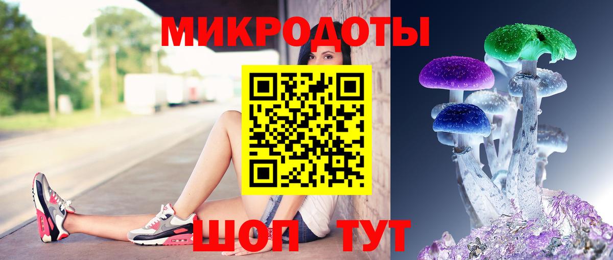 Псилоцибиновые грибы мицелий Новоалександровск