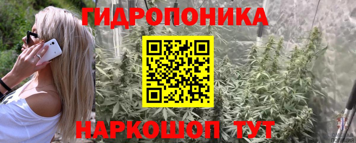 Новоалександровск  Шишки марихуана семена  Бошки марихуана MAZAR  Бошки марихуана семена  Вход с VPN  Бошки Шишки семена 